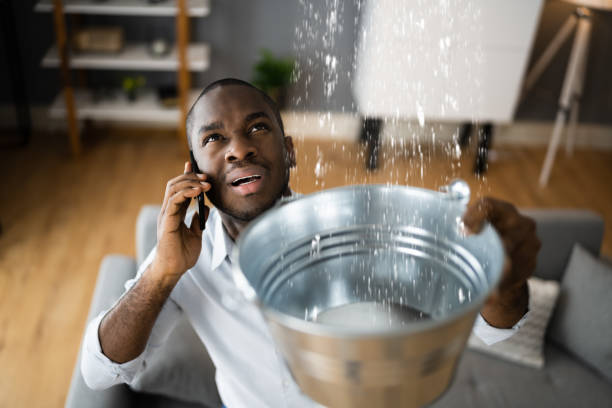 Best Emergency water extraction  in San Elizario, TX