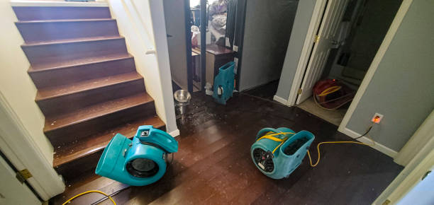 Best Flooded house restoration  in San Elizario, TX