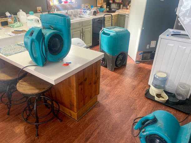 Best Water damage contractors near me  in San Elizario, TX