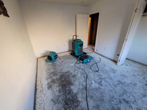 Best Local water damage restoration  in San Elizario, TX