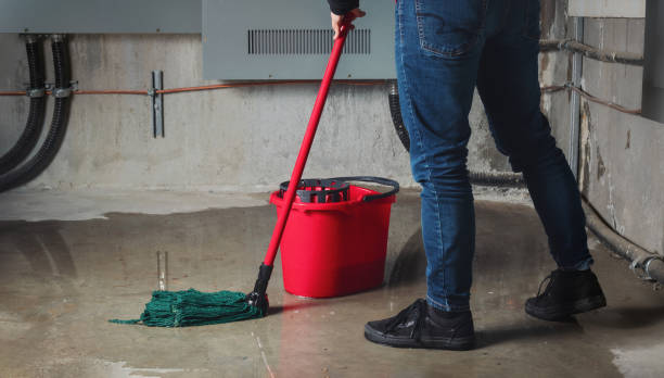 Best 24/7 water damage repair  in San Elizario, TX