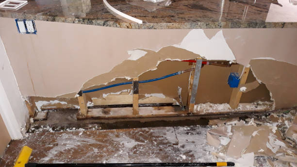 Reliable San Elizario, TX Water damage restoration Solutions