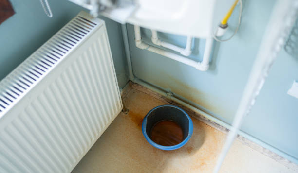 Best Flood damage cleanup  in San Elizario, TX