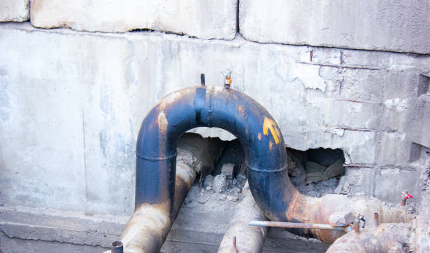Best Local water damage restoration  in San Elizario, TX