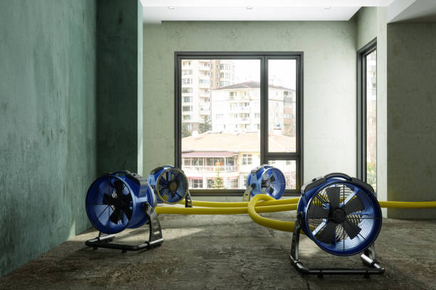 Best 24-hour water damage restoration  in San Elizario, TX