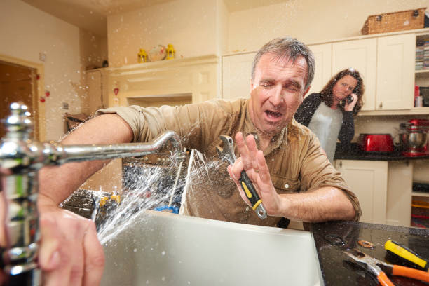 Best Professional water damage repair  in San Elizario, TX